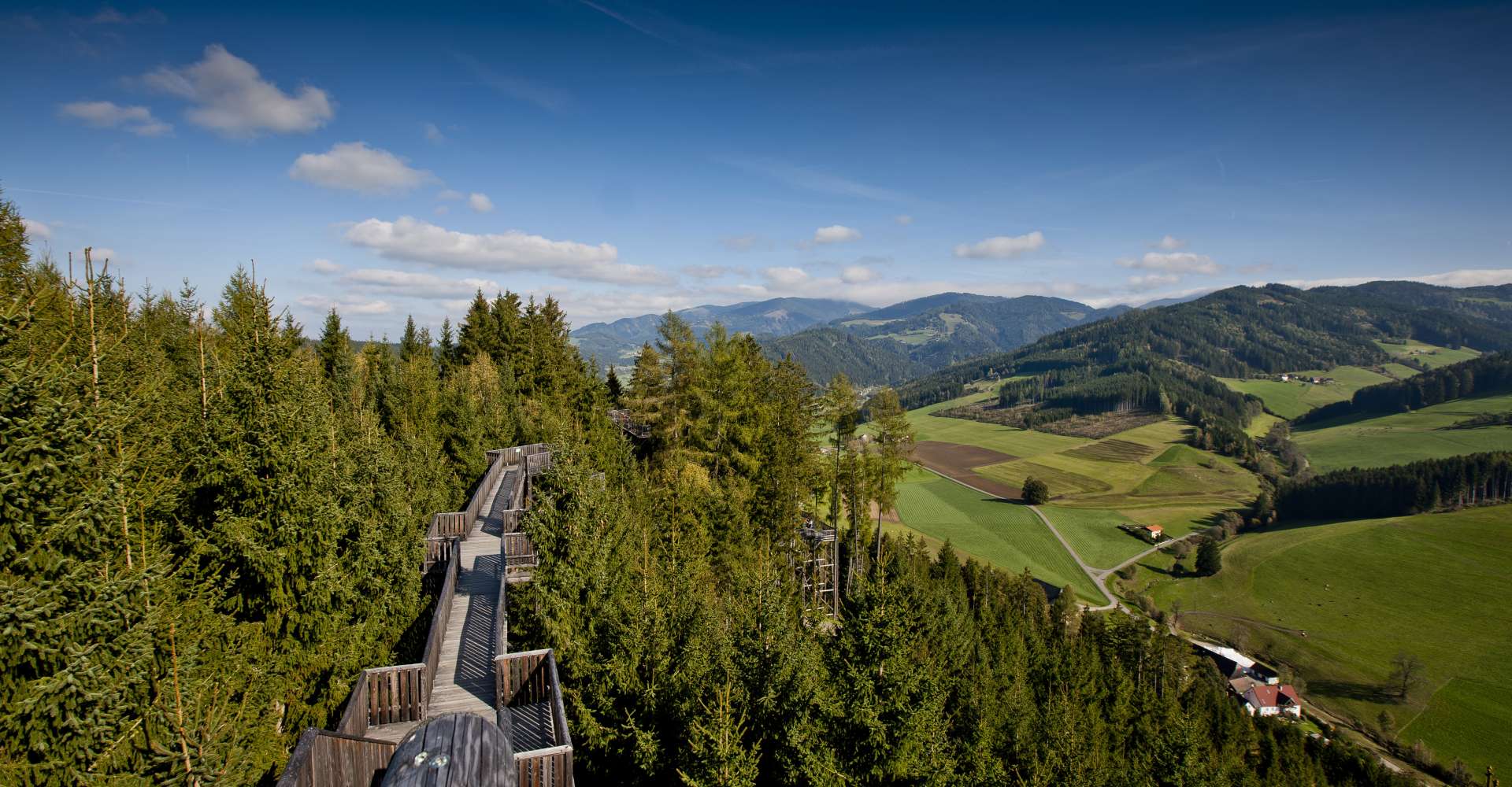 <p>Der Wipfelwanderweg liegt im Murtal, Steiermark</p> Copyright: