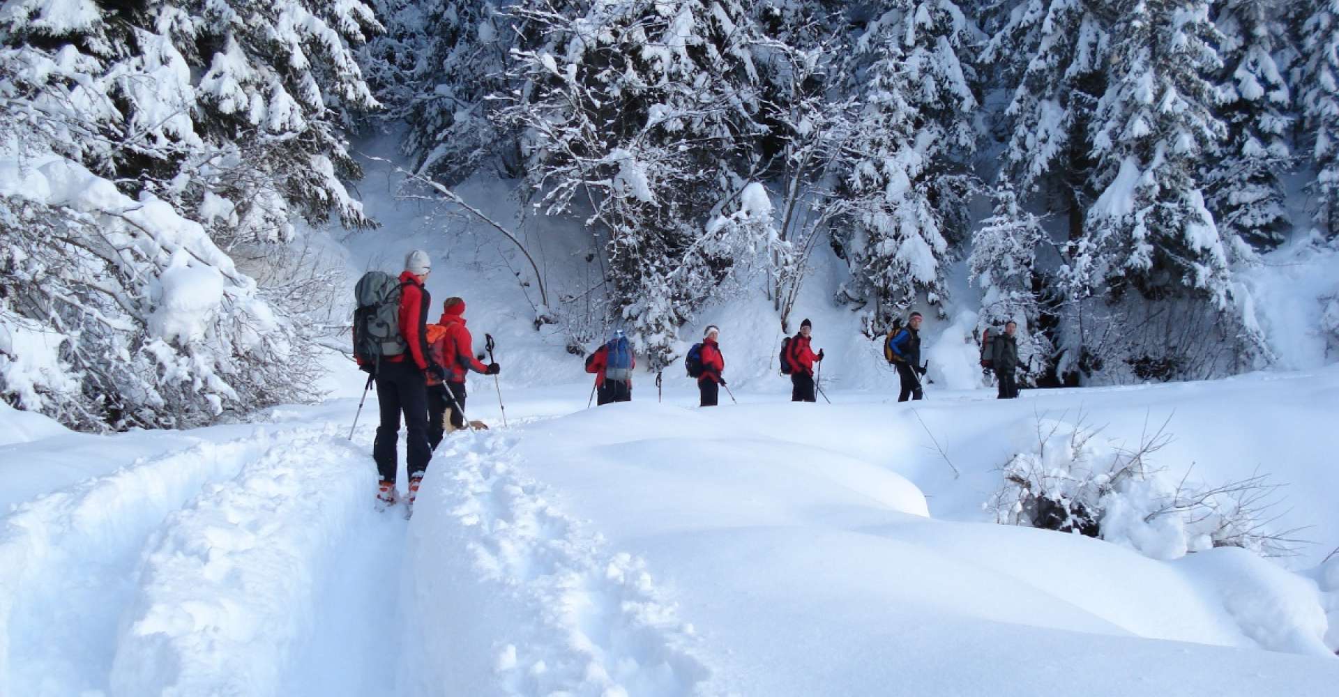 <p>Skitouren im Murtal gehört einfach dazu - die schönsten Touren begeistern alle Skitourengeher im Winter in der Murtaler Bergwelt.</p> 