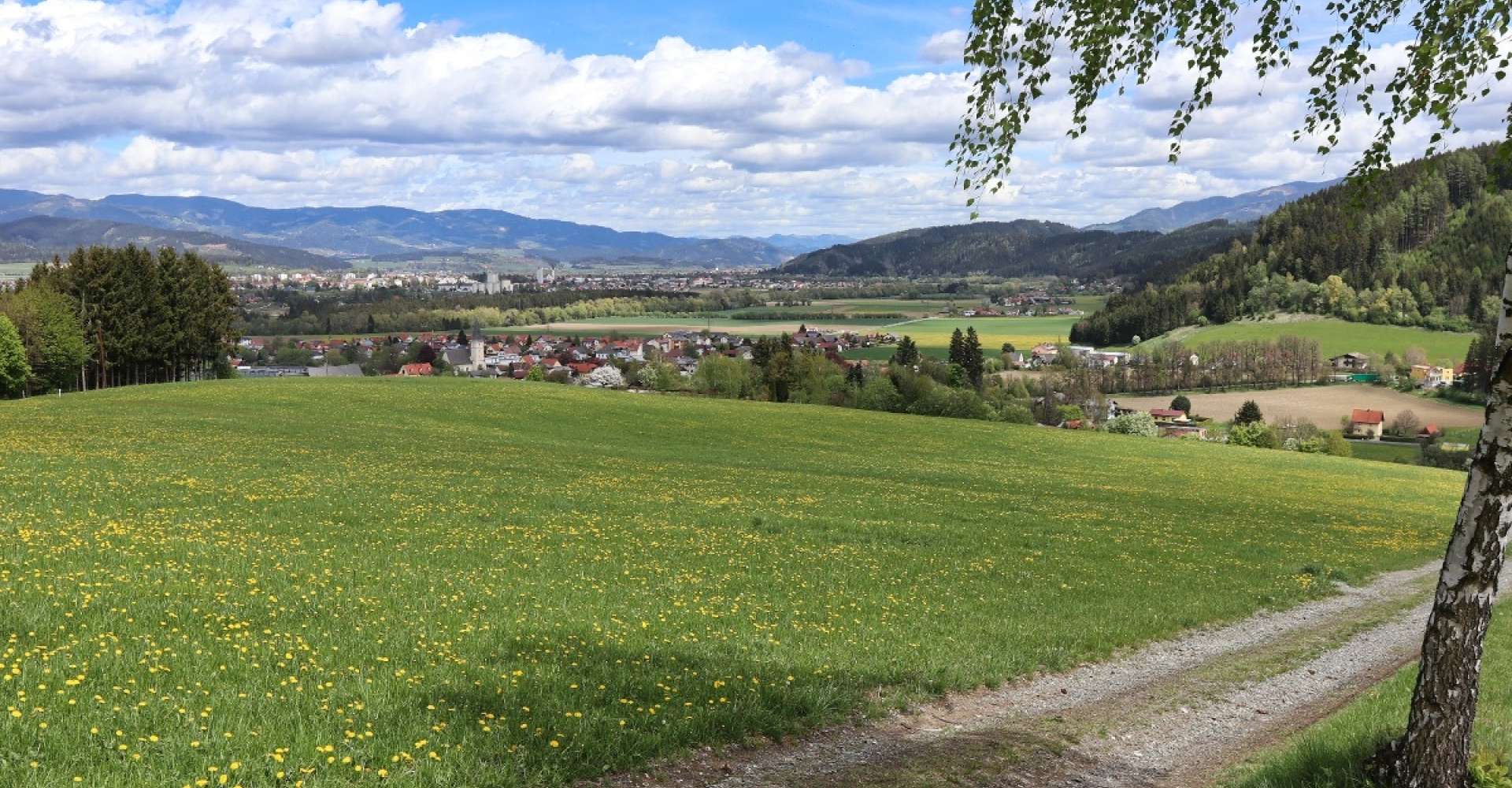<p>Der Waldrundweg über Reitinger Großlobming im Murtal in der Steiermark</p> 