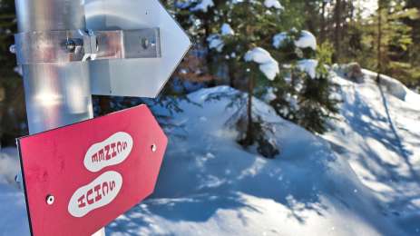 Signposted snowshoe tours