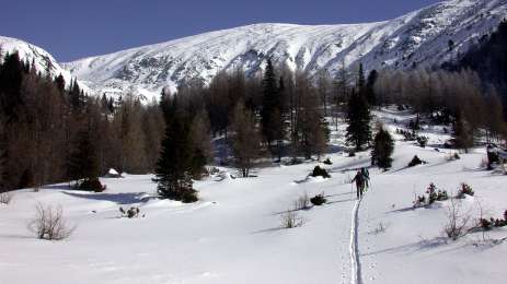 Skitour - Pletzen