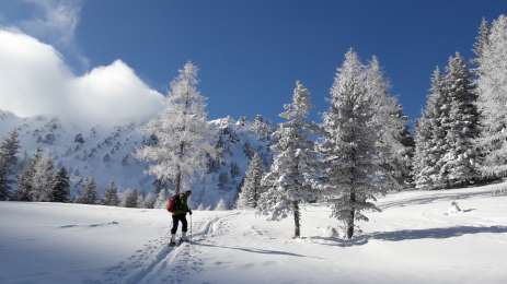 Skitour - Sonntagskogel - vom Triebental