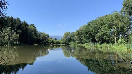 Blickner Teich