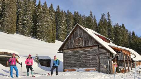 Moaralm - marked snowshoe trail in the Triebental valley