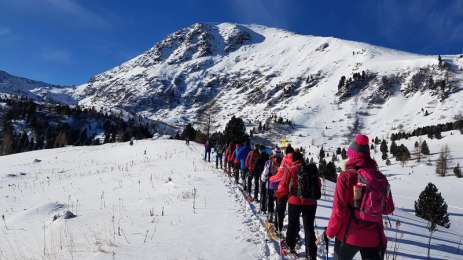 Edelrautehütte - marked snowshoe trail in Hohentauern