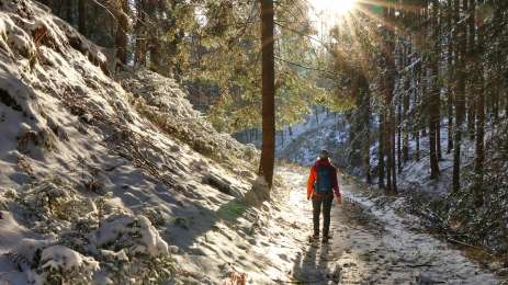 Winter hike forest loop trail Lobmingtal