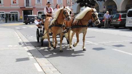 Haflinger carriage rides Murtal (Fam.Katschnig/Gomm)