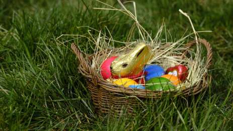 Easter nest search