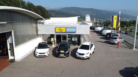 Car dealer Bidomon GmbH